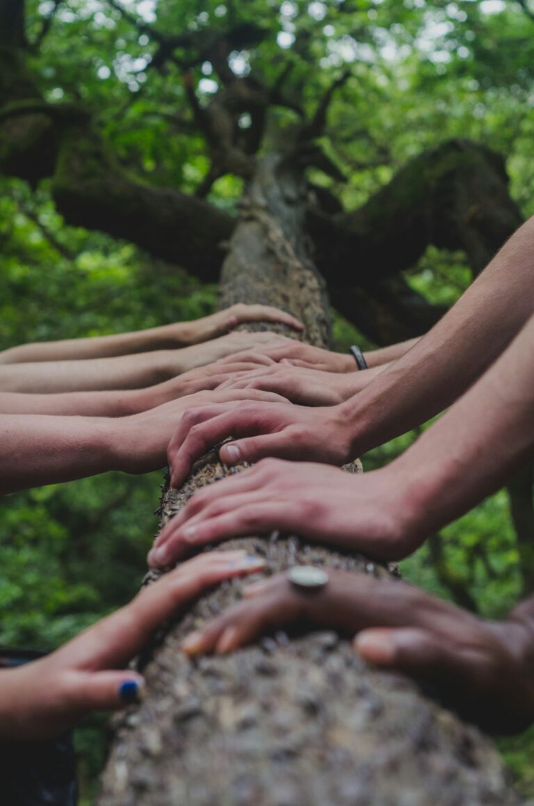 Quranic Values as Pillars of Positive Change